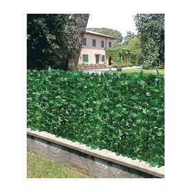ARELLE SIEPE SEMPREVERDE LAURO MT. 1 X 3 ARELLE SIEPE SEMPREVERDE LAURO MT. 1 X 3