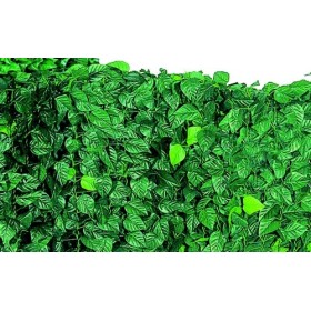ARELLE SIEPE SEMPREVERDE LAURO MT. 1,5 X 3 ARELLE SIEPE SEMPREVERDE LAURO MT. 1,5 X 3