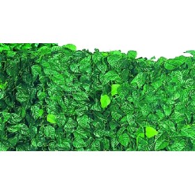 ARELLE HEDGE EVERGREEN LAURO MT.1 X 20 ARELLE HEDGE EVERGREEN LAURO MT.1 X 20