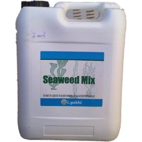 GOBBI AMESTEC DE ALGE MARINE KG. 12 GOBBI STIMOLANTINE