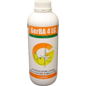 GOBBI GERBA 4 LG DIRADUSI DE LA LT. 1