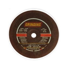 GRINDING MINIDISCO D.100X3,2 PENTRU FIER