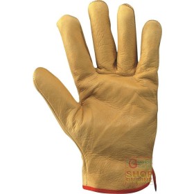 MĂNUȘĂ DE FLORI DE VITĂ SPERIATĂ INTERN TG 10