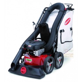 SPIRAFRUNZE IBEA 2755 TRAZIONATE CU turbocompresorSPIRARUPT CU motor BRIGGS E STRATTON 190cc SPIRAFRUNZE IBEA 2755 TRAZIONATE CU turbocompresorSPIRARUPT CU