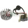 KIT COIL VOLANU PENTRU BRUSHCUTTER SANDRI GARDEL GBL 34