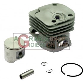 CILINDRU ȘI KIT CU PISTON PENTRU DRUJBA HUSQVARNA 365 DIAM. 48 mm. CILINDRU ȘI KIT CU PISTON PENTRU DRUJBA HUSQVARNA 365 DIAM. 48