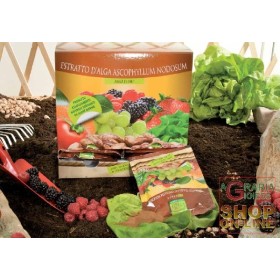 KOLLANT MS ALGA FLOR PLIC GR. 50 KOLLANT MS ALGA FLOR PLIC GR. 50