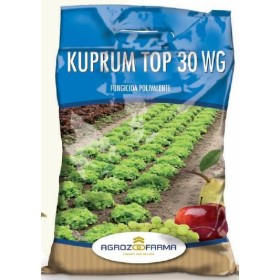KUPRUM TOP 30 WG ALBASTRU KG. 1 KUPRUM TOP 30 WG ALBASTRU KG. 1