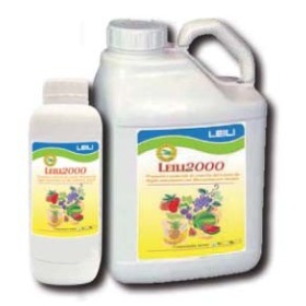 PROMOTORUL LEILI 2000 NATURACREȘTERE DIN ALGE SELECTATE PROMOTORUL LEILI 2000 NATURACREȘTERE DIN ALGE SELECTATE