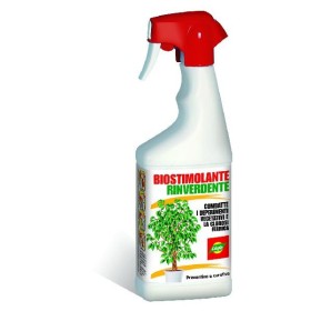 LINFA BIOSTIMOLANTE RINVERDENTE ML.500 LINFA BIOSTIMOLANTE RINVERDENTE ML.500