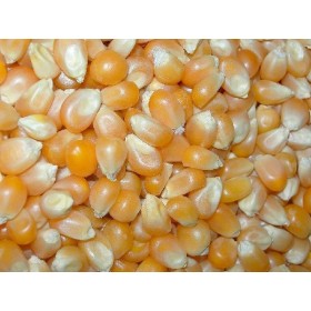 MAIS IBISCO KG. 25 MAIS IBISCO KG. 25