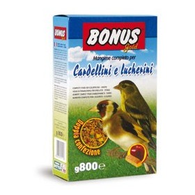 MANGIME CARDELLINI SD5 GOLD GR. 800 MANGIME CARDELLINI SD5 GOLD GR. 800