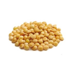 MIGLIO PAGLIERINO KG. 25