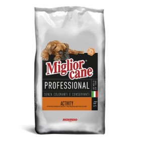 MIGLIORCANE KG. 5 PROFESSIONAL ACTIVITY ALTA ENERGIA
