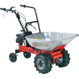 MOTOCARRIOLA EUROSYSTEM BENZINA TRANSPORTA 450 BRIGGS E STRATTON MOTOCARRIOLA EUROSYSTEM BENZINA TRANSPORTA 450 BRIGGS E STRATTON