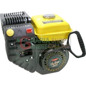 MOTOR VERTICAL PE BENZINĂ ÎN PATRU TIMPI PENTRU SPAZZANEVE BENZINĂ HP. 6.5 LACRIMĂ ÎNCEPE MOTOR VERTICAL PE BENZINĂ ÎN PATRU TIMPI PENTRU SPAZZANEVE