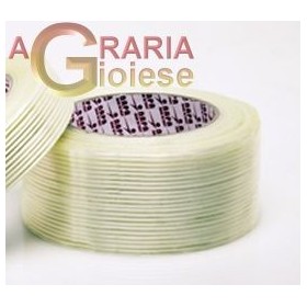 BANDĂ TRANSPARENTĂNFDE AMBALARE ORZ CU SENS UNIC MM. 50x50 MT. BANDĂ TRANSPARENTĂNFDE AMBALARE ORZ CU SENS UNIC MM. 50x50 MT.