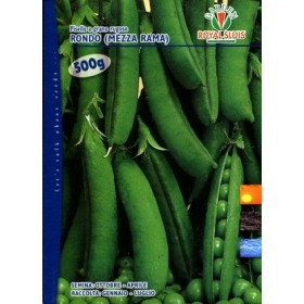 MAZĂRE GR. 500 RONDO S ROYAL SEED MAZĂRE GR. 500 RONDO S ROYAL SEED