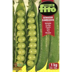 MAZĂRE KG. 1 FITO JUMĂTATE RAMAADSEN SAU MAZĂRE KG. 1 FITO JUMĂTATE RAMAADSEN SAU