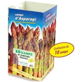 RADICI A ZAMPE DI ASPARAGI IN CONF10 CUBURI ECTION