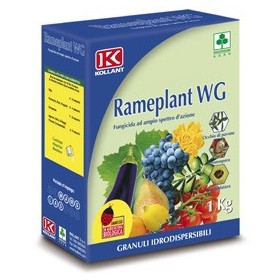 RAMEPLANT WG FUNGICID CUPRU OXICLORURĂ KG. 1