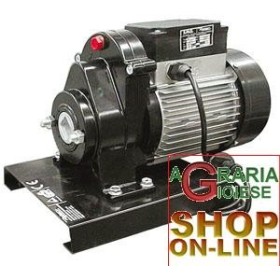 REBER GEARMOTOR ELETTRICO 9602N CP. 0,80