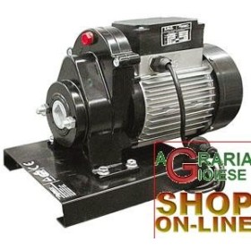 REBER GEARMOTOR HP. 0,30