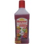 BAYSOL CONCIME LIQUIDO PER NUTRIMENTO PIANTE DA FIORE ML. 500