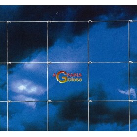 PLASĂ PASTORALĂ DE SÂRMĂ H. 120 MT. 50 MAGLIA 9X15