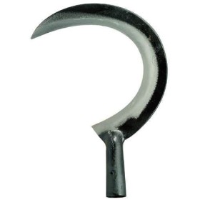 RONCOLA SCANSANO CON CANNA CM. 26