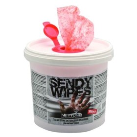 GĂLEATĂ DE CURĂȚARE DE IGIENIZARE UMEDĂ ȘERVEȚELE PC-URI. 100