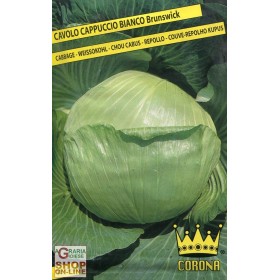 SEMI CAVOTHE BRUNSWICK WHITE HOOD