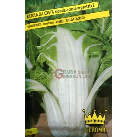 BLOND CHARD SEMINTE ACOSTA ARGENTATA 2