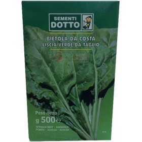 SEMINȚE DE CHARD DE PE COASTA VERDE NETEDĂ DE LA TAGLIO DE LA