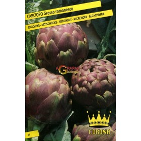 ROMANESCO GROSIER ANGHINARE SEMINTE