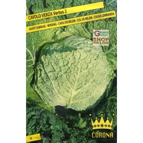 SEMINȚE DE CAVOVARZĂ VERTUS 2
