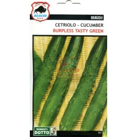 SEMI DI CETRIOLO BURPLESS TASTY GREEN BISON SPECIALITY IBRIDO F1