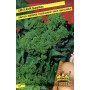 SEMI DI CIME DI RAPA 40 GG.