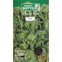 SEMI DI CIME DI RAPA 60 GG. GR. 500