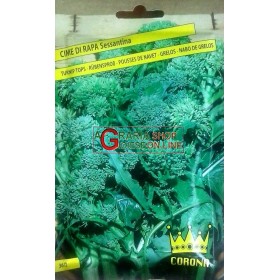 CIMȘI SEMINȚE DE NAP ȘAIZECI ȘI 60 DE ZILE ÎN PLIC