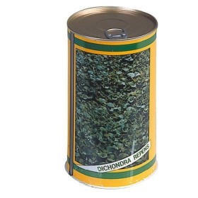 DICHONDRA REPENS SEMINȚE PENTRU PRATO NANO GAZON FĂRĂ TAGLIO