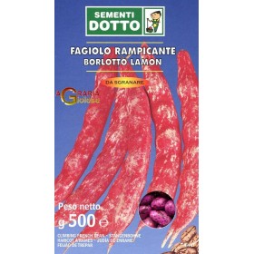 F SEMINTEAGIOLO BORLOTTO RAMPICANTE LAMON GR. 500 F SEMINTEAGIOLO BORLOTTO RAMPICANTE LAMON GR. 500