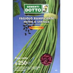 SEMINȚE DE FAGIOLO METRU ȘIR RAMPICANTE GR. 250 SEMINȚE DE FAGIOLO METRU ȘIR RAMPICANTE GR. 250