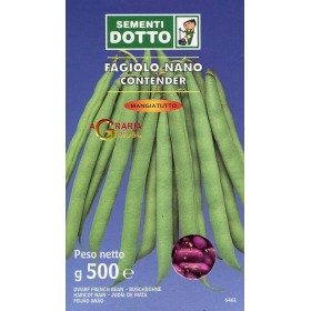 F SEMINȚEAGIOLO NANO PRETENDENT GR. 500