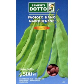 SEMINȚE DE FAGIOLO NANO MARCONI BLACK SEED GR. 500