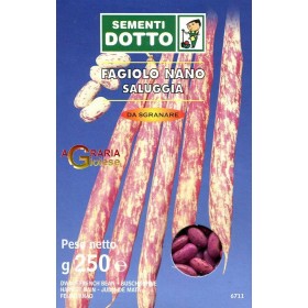 F SEMINȚEAGIOLO NANO SALUGGIA GR. 250