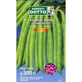 SEMINȚE DE FAGIOLO NANO SLENDERETTE SEMINȚE ALBE GR. 500