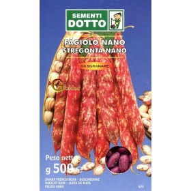 SEMINȚE DE FAGIOLO NANO STREGONTA GR. 500