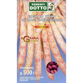 F SEMINTEAGIOLO NANO TAYLORS HORTICULTURAL GR. 500