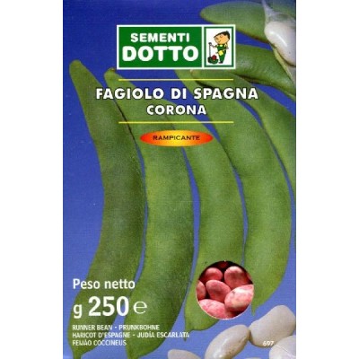 SEMINȚE DE FAGIOLO RAMPICANTE BIANCO DI SPAGNA GR. 250